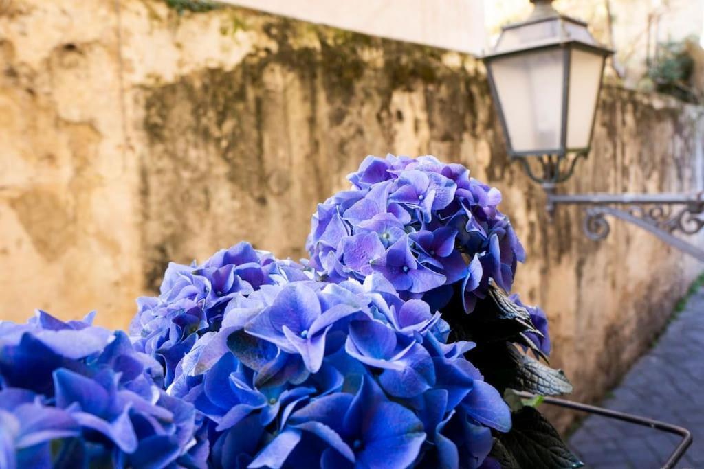 Peonia Blu Apartment Salerno Eksteriør billede
